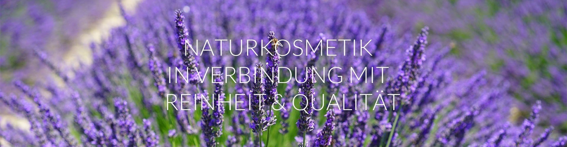 gesichtskonzepte_header