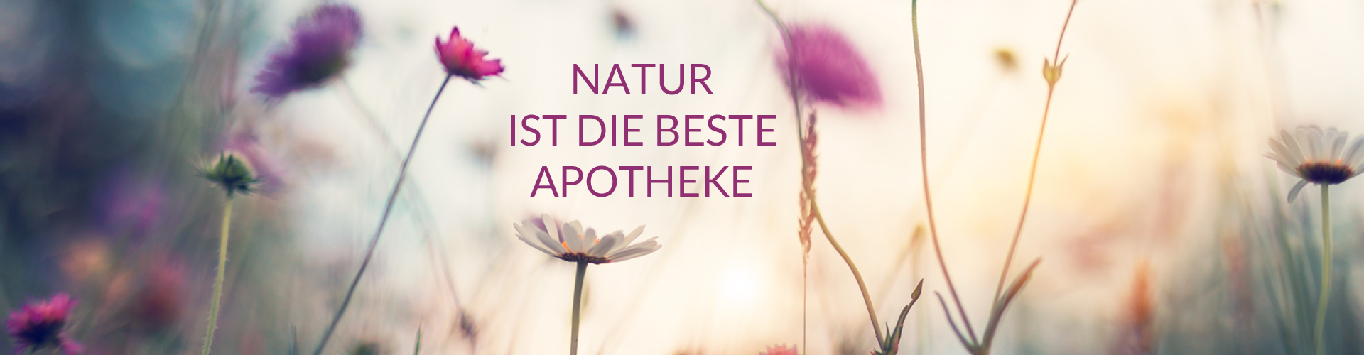 natur-apotheke